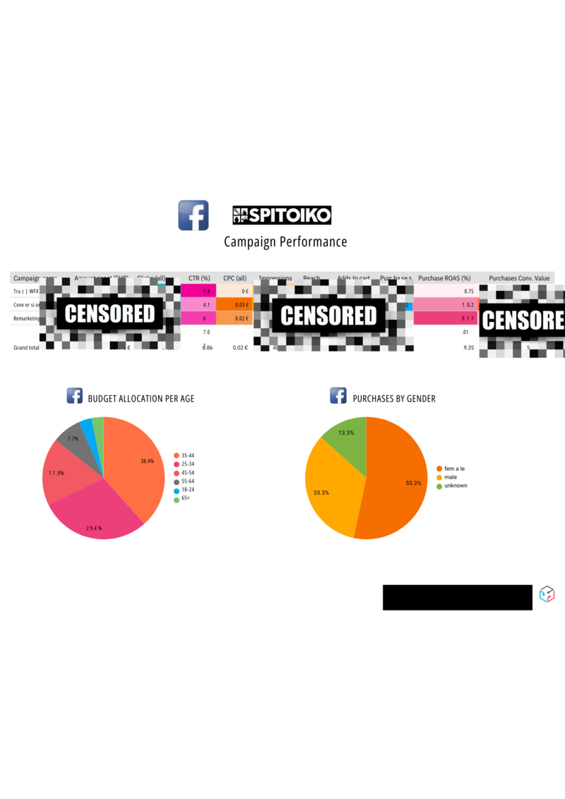 screenshot of digital marketing results of spitiko